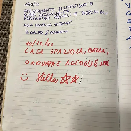 Ai Palasi