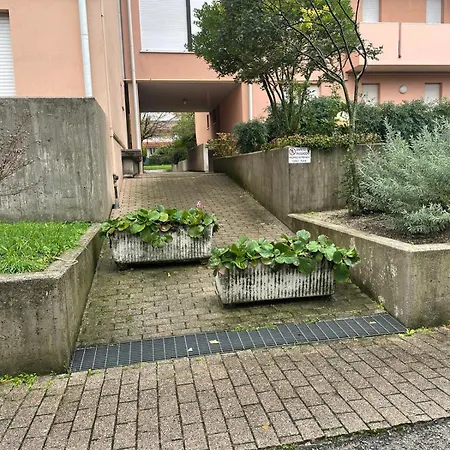 Ai Palasi *